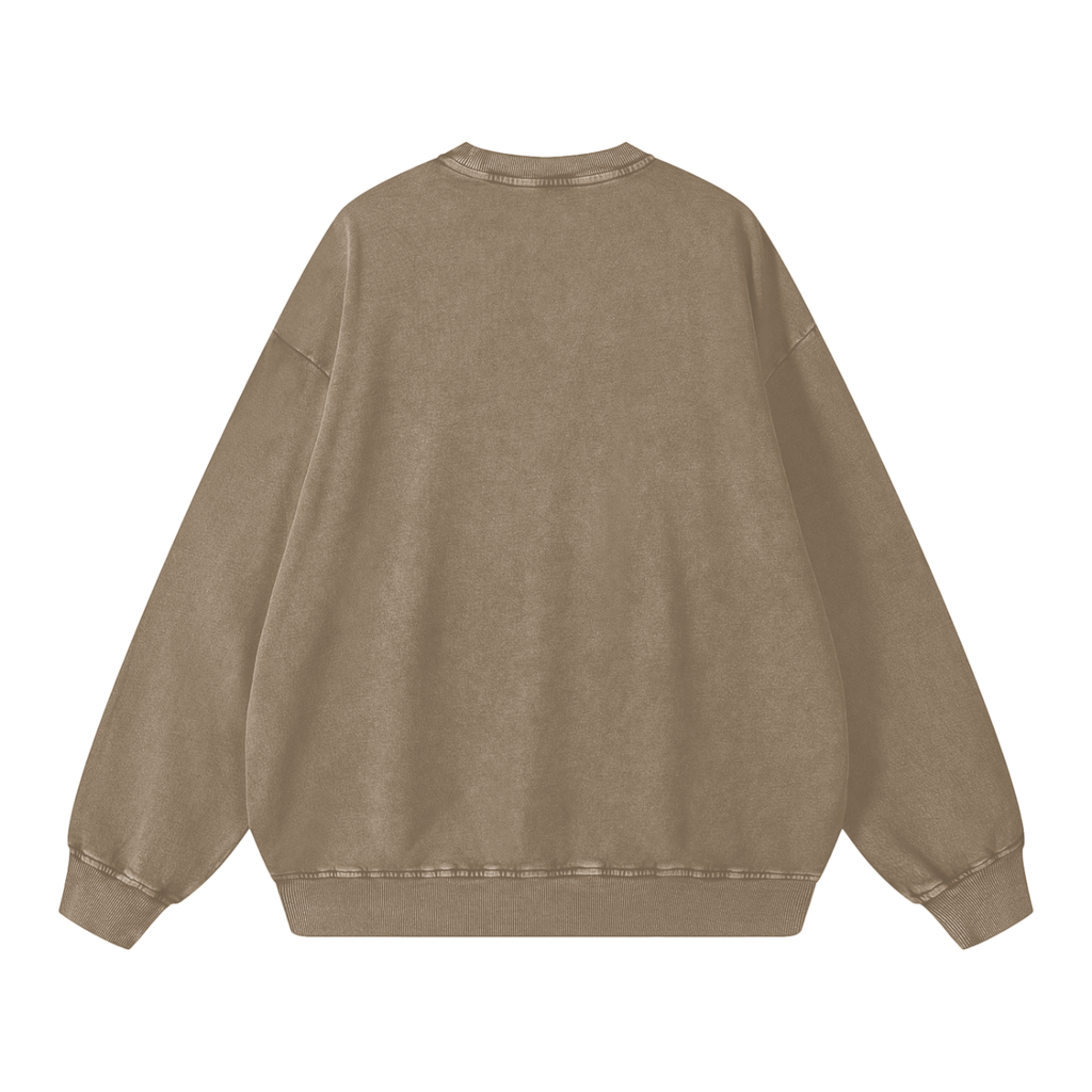MORE THAN THE BIRDS-Snow Washed Oversized Sweatshirt
