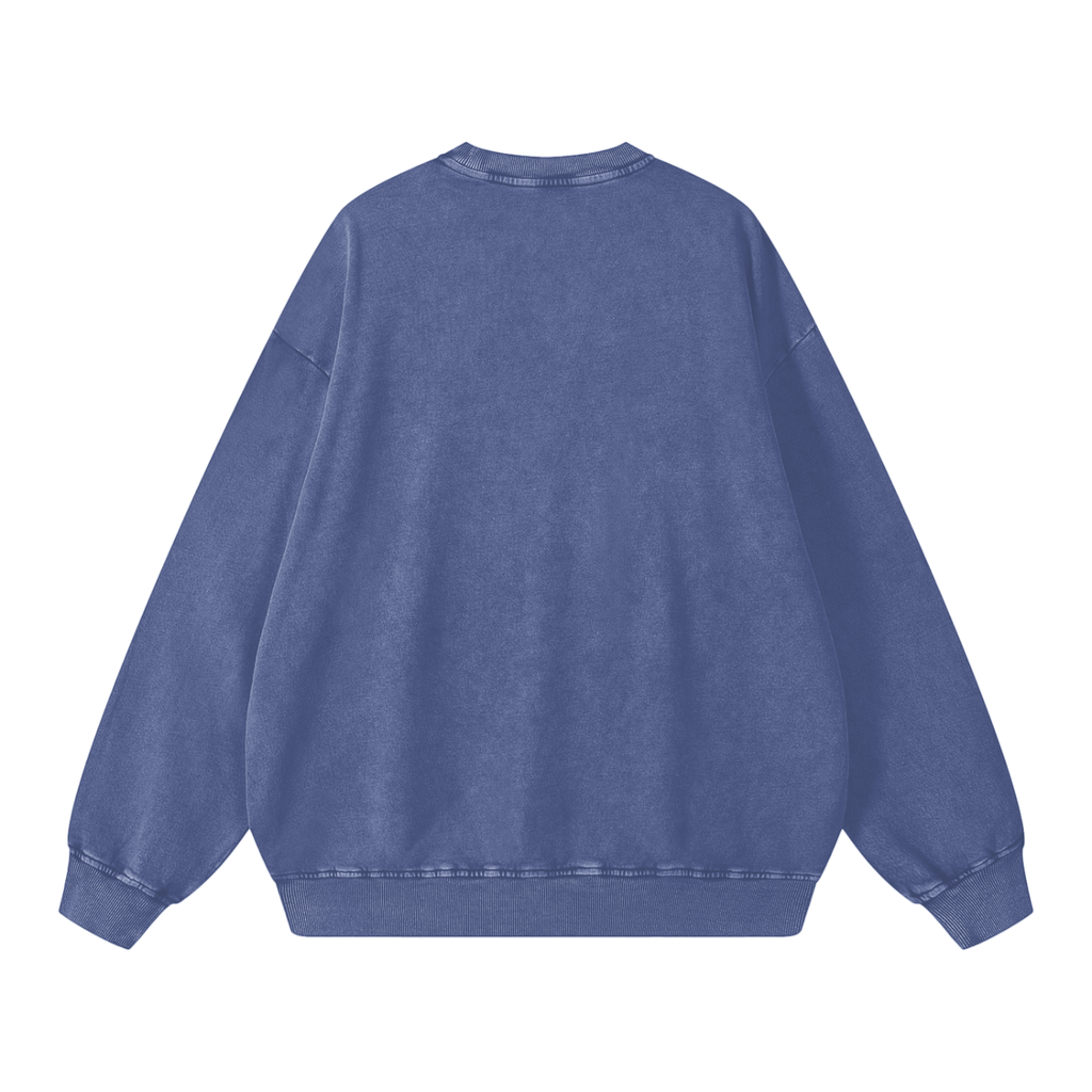 MORE THAN THE BIRDS-Snow Washed Oversized Sweatshirt