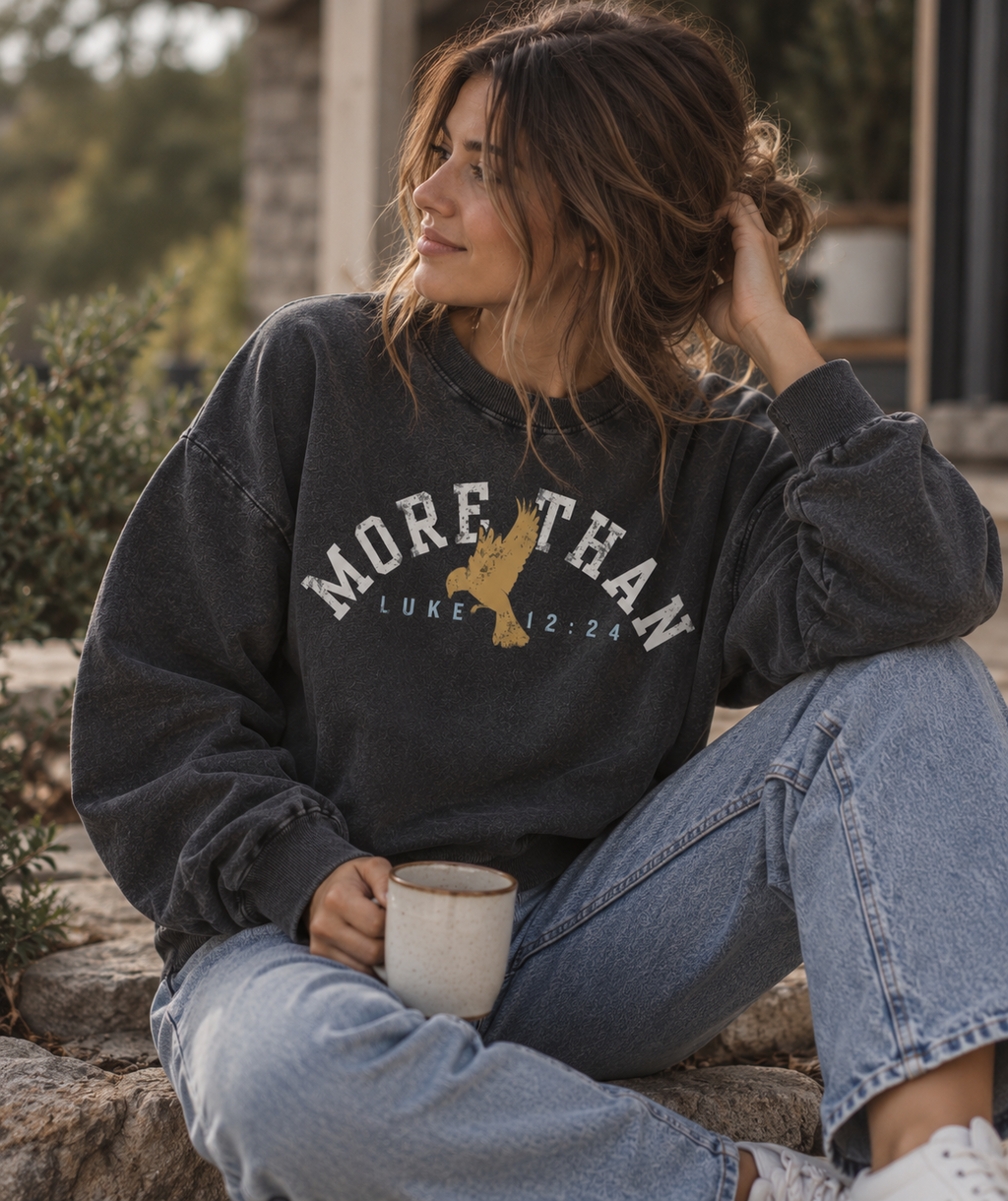 MORE THAN THE BIRDS-Snow Washed Oversized Sweatshirt